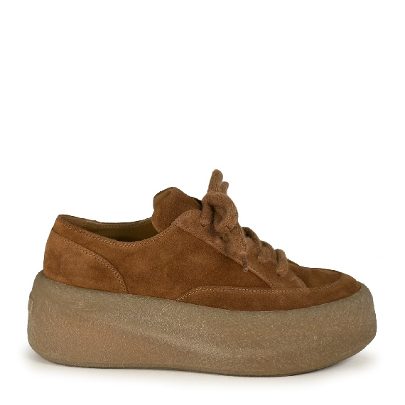 F04 Creepy_ Scarpa  allacciato tabacco