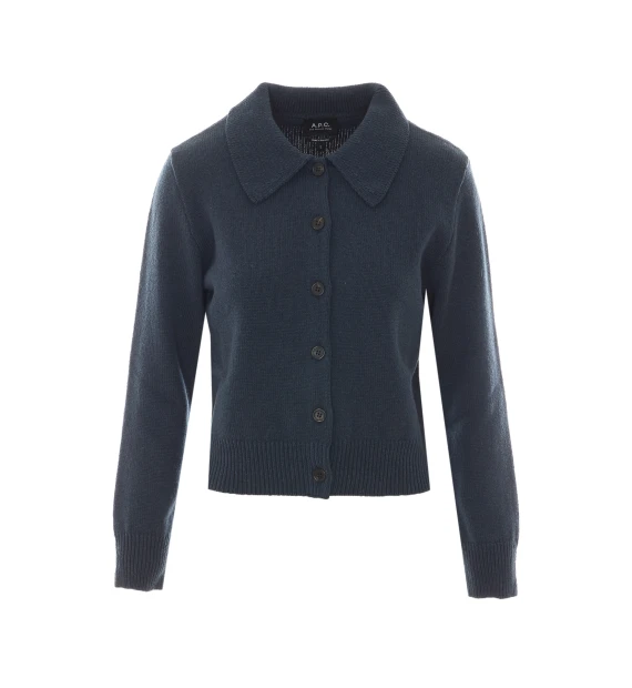 Sweaters Blue