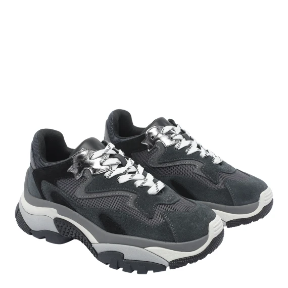 ASH Sneakers Grigio