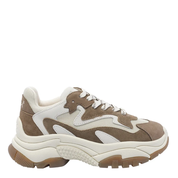 ASH Sneakers Marrone