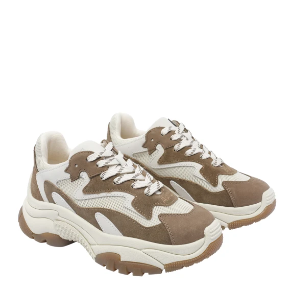 ASH Sneakers Marrone