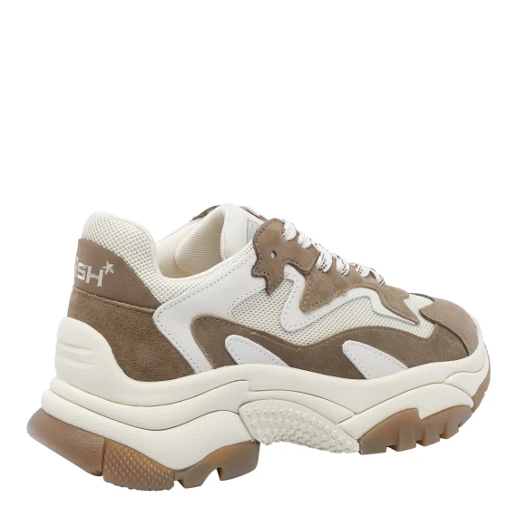 ASH Sneakers Marrone