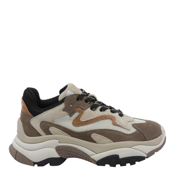 Addict Sneakers ash