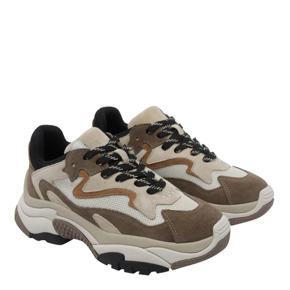 Addict Sneakers