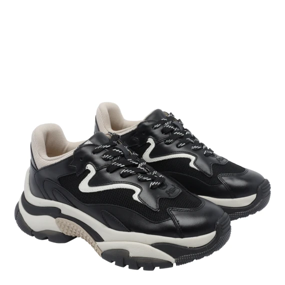 Addict Sneakers
