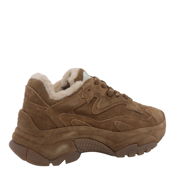 Sneakers Addict ash