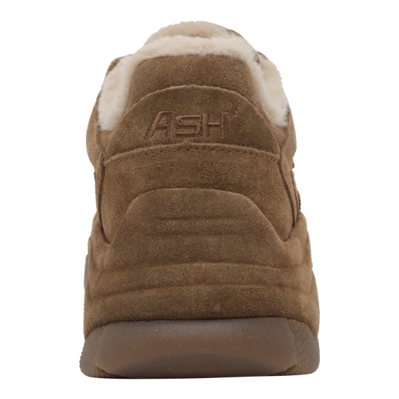 Sneakers Addict ash