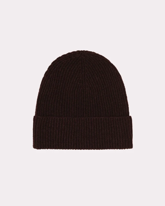 Absolut Cashmere Hats Brown