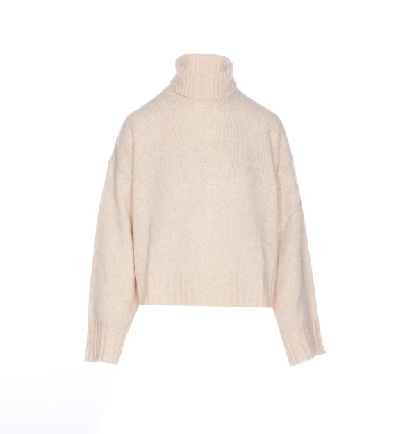 CHRIS TURTLENECK SWEATER