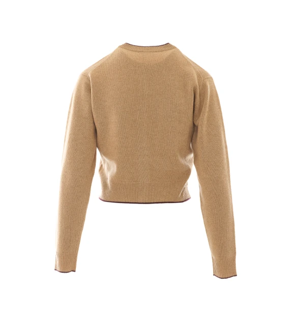 Maglia marrone