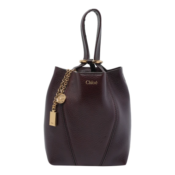 Chloè Borse... Purple