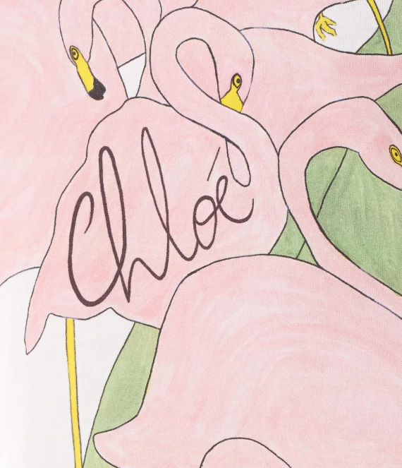 T-shirt e Polo Multicolour