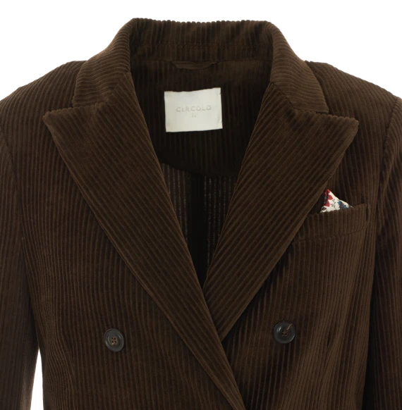 Velvet Double Breasted Button Jacket