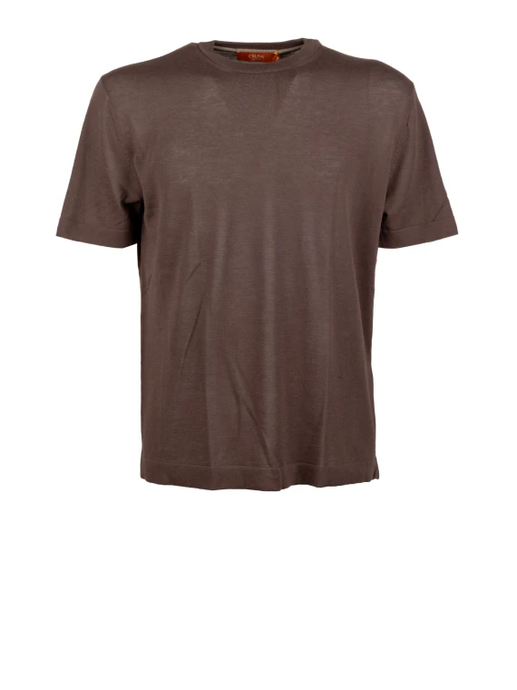 T-shirts and Polos Brown