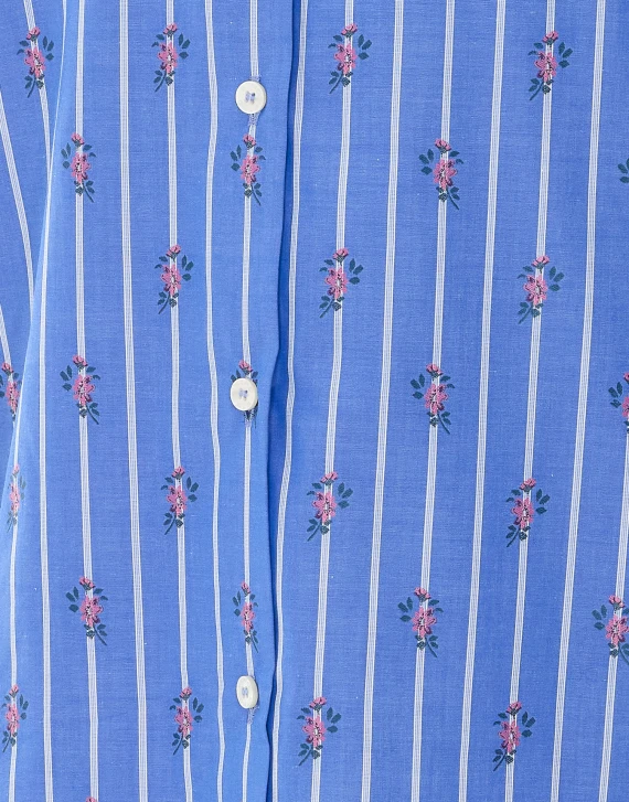 Light Blue Striped Shirt Etro