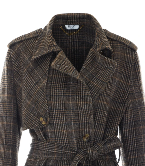 Giacconi Brown