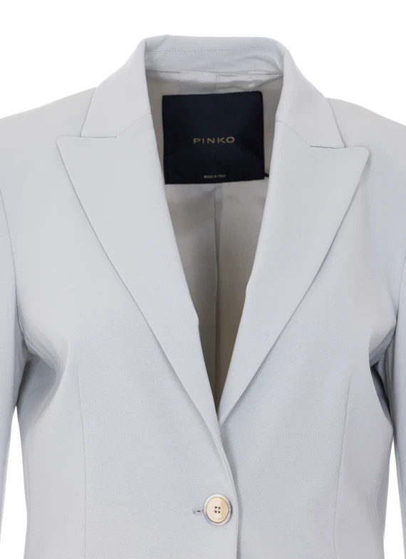 Pinko Giacche Grigio