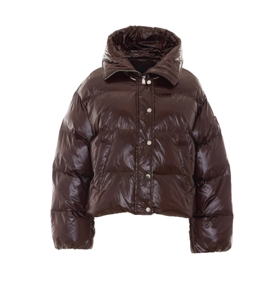 Giacconi Brown