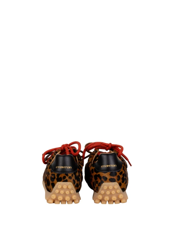 Sneakers Stokton