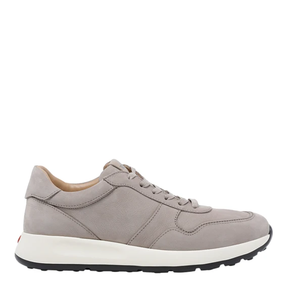 Tod's Sneakers Grigio