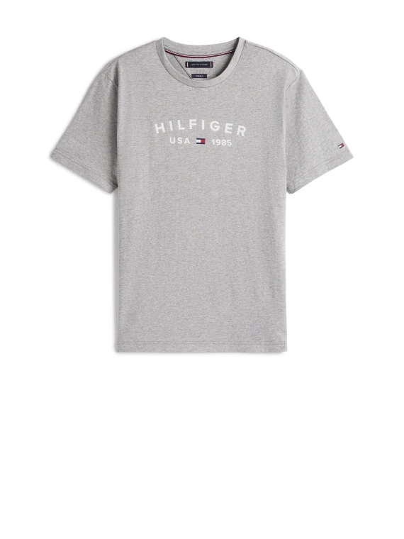 Grey T-Shirt with print