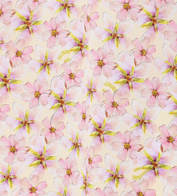 Zadig & Voltaire Camicie Rosa