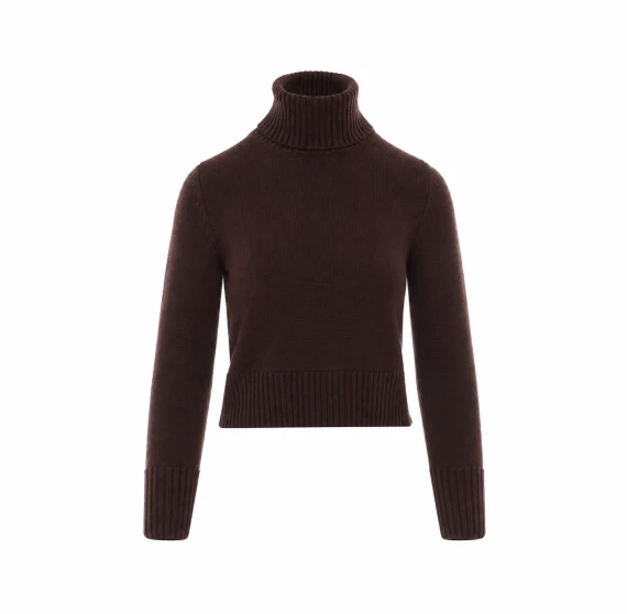 Brown Sweater Alpha studio
