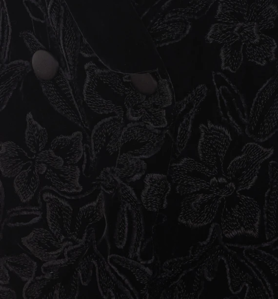 Velvet Embroidered Jacket