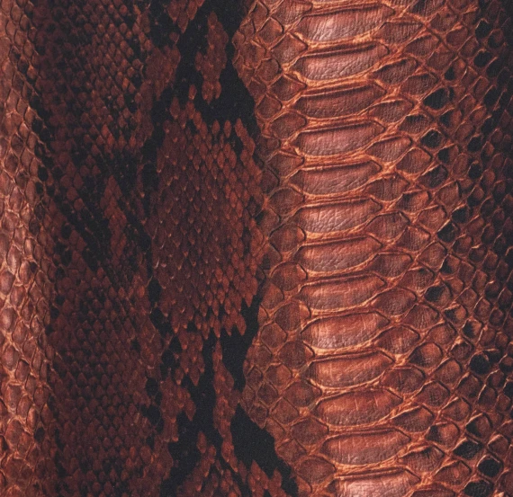 JEAN PAUL GAULTIER Mare Marrone