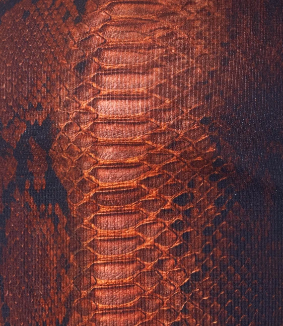 JEAN PAUL GAULTIER T-shirt e Polo Marrone