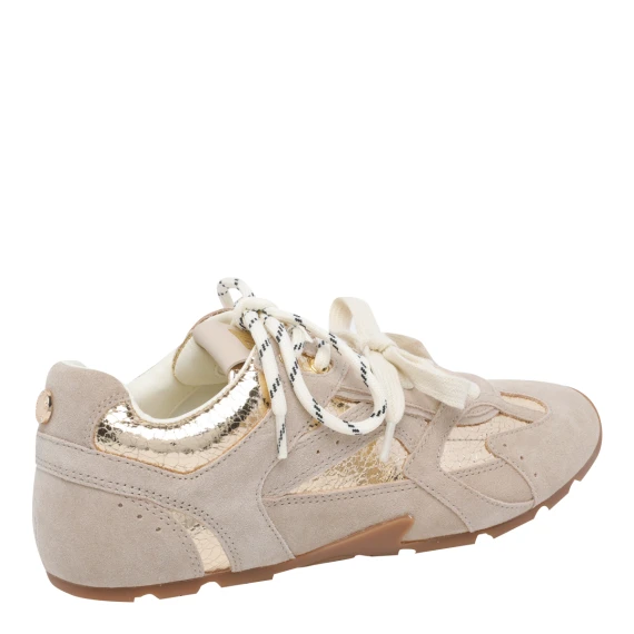 Sneakers Golden