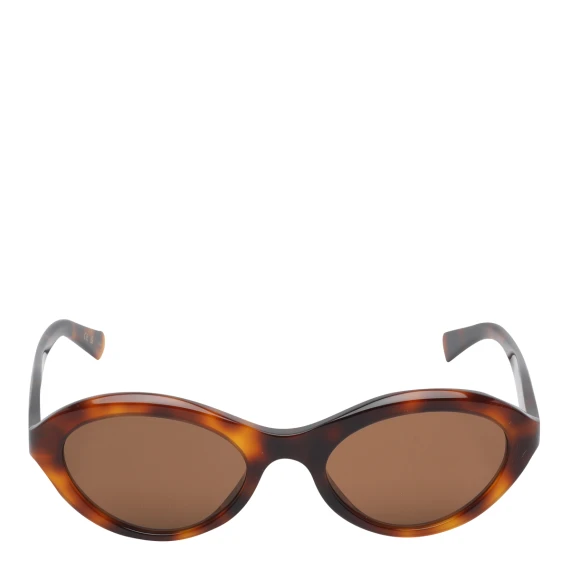 Sunglasses Brown