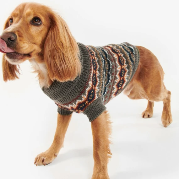 Cappotto per cane  Barbour DCO0041 in maglia verde